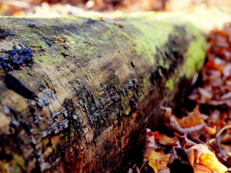 sudoku tablet version screenshot 4